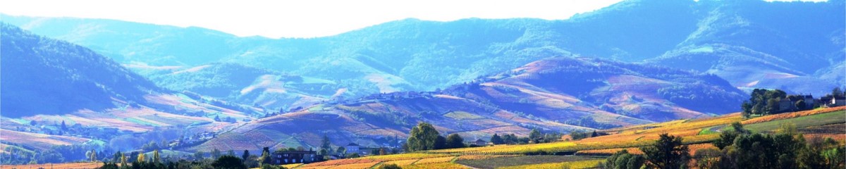 beaujolais randonnée en liberté